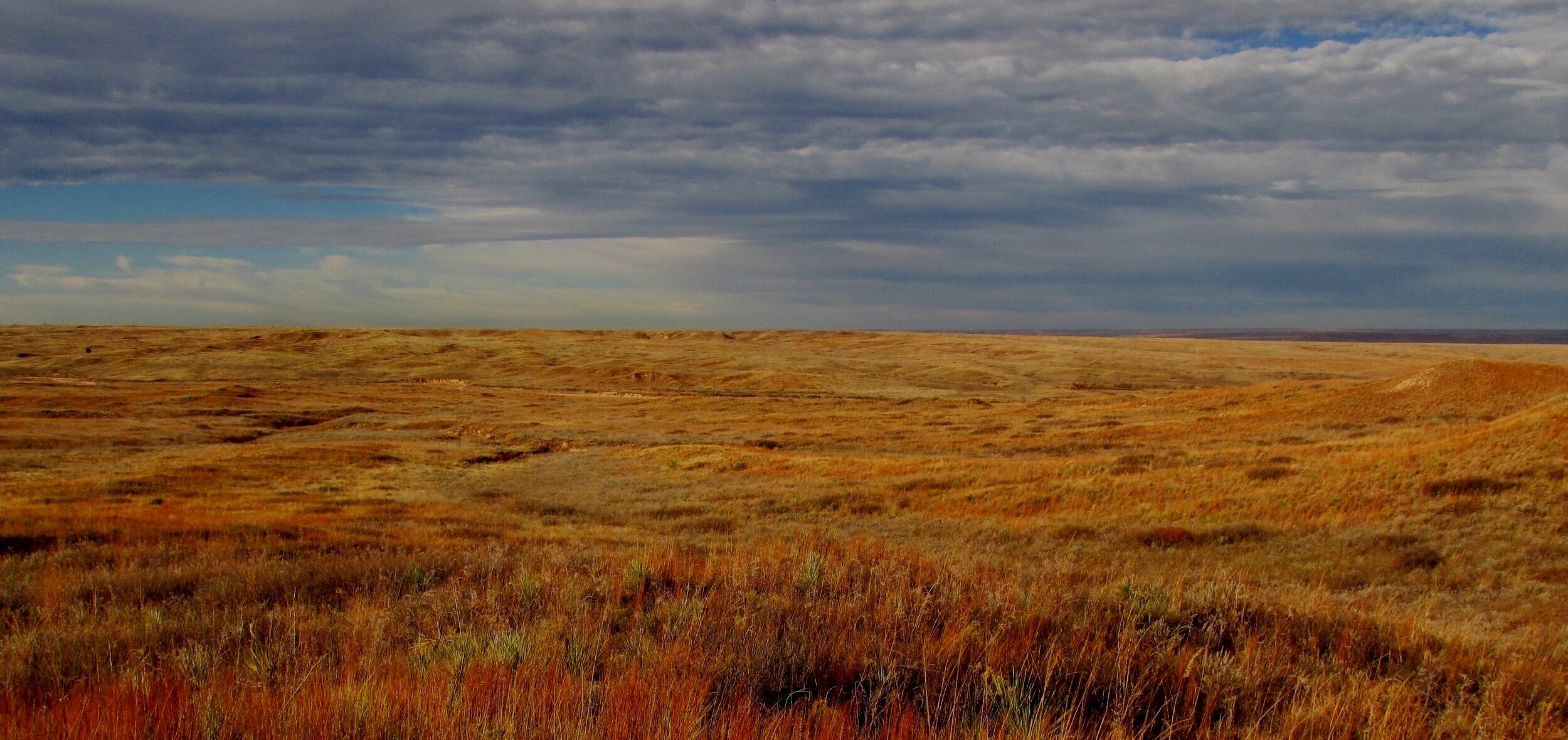 Texas Panhandle landscape