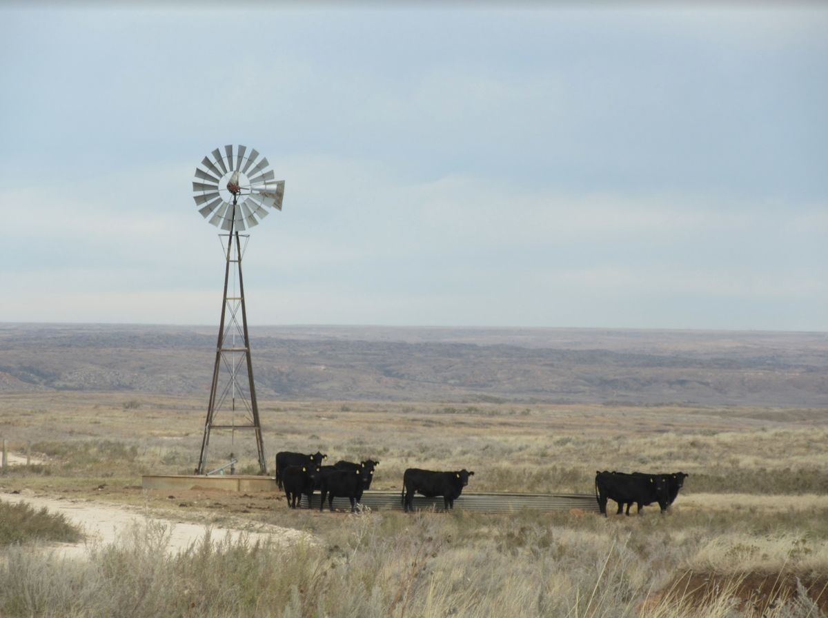 Panhandle Solar Group site overview